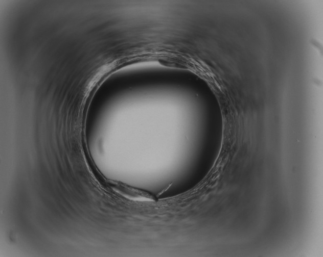 X0000092050003200709121221