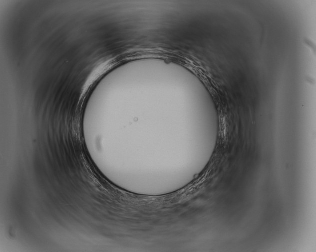 X0000092050004200709121221