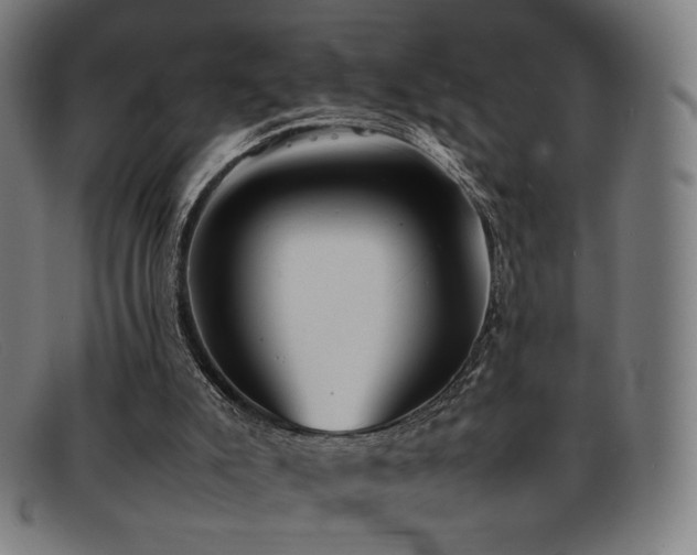 X0000092050007200709121221