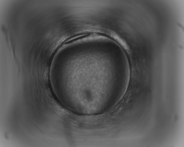 X0000092050009200709121221