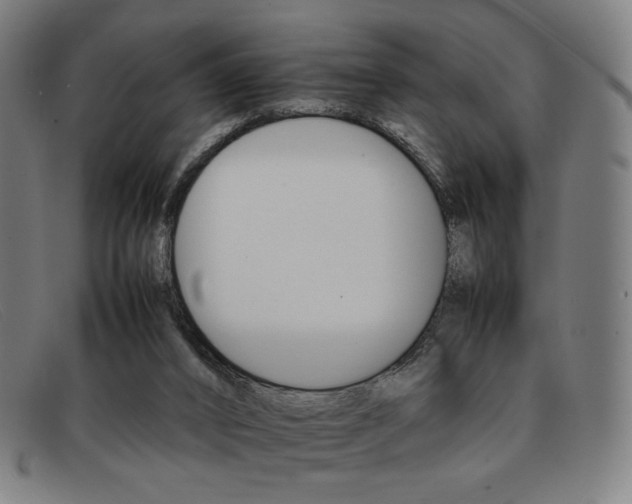 X0000092050016200709121221