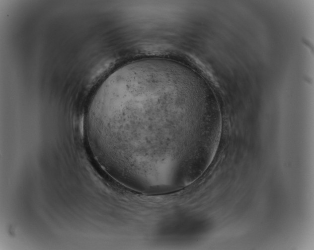 X0000092050019200709121221