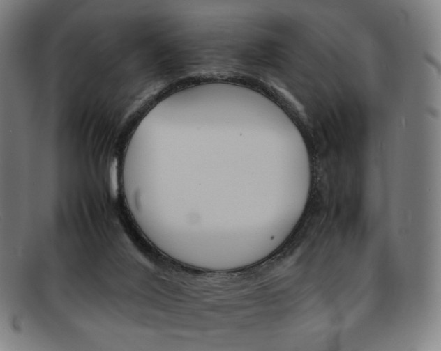 X0000092050020200709121221