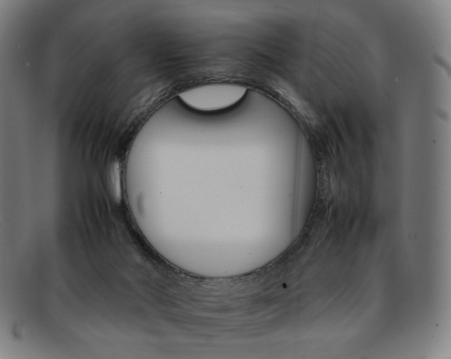 X0000092050022200709121221