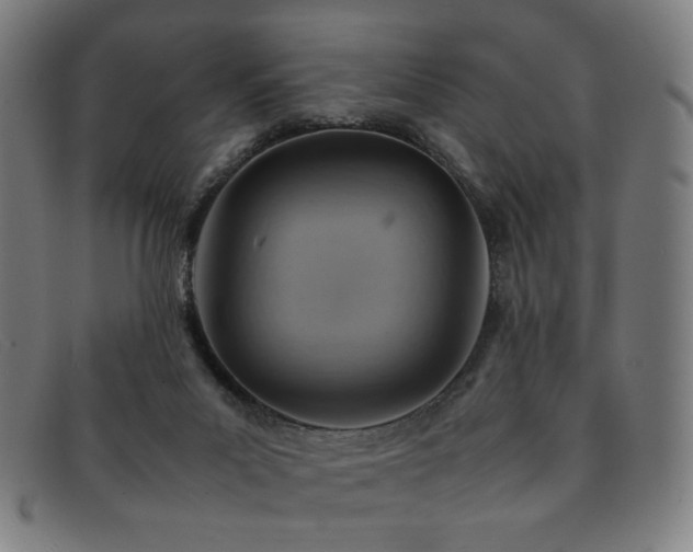 X0000092050023200709121221