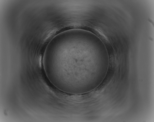 X0000092050024200709121221