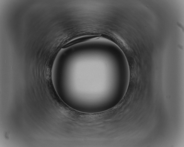 X0000092050025200709121221