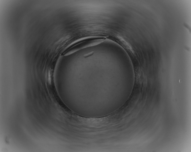 X0000092050026200709121221