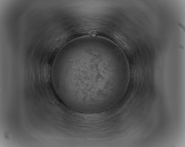 X0000092050030200709121221