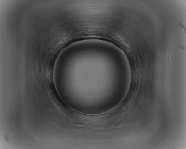 X0000092050031200709121221