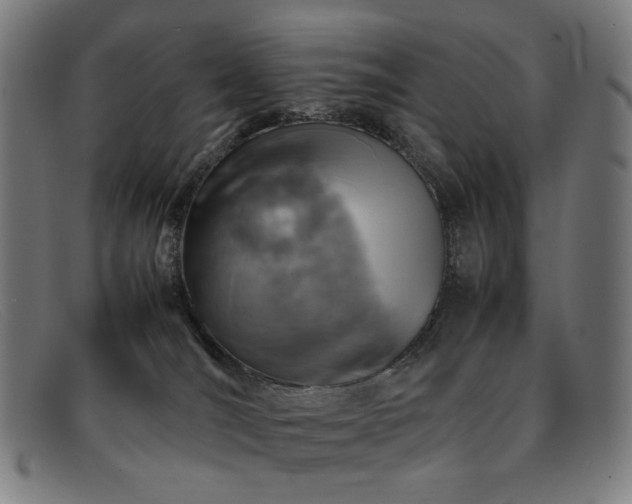 X0000092050036200709121221