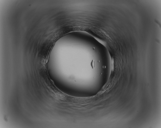 X0000092050045200709121221