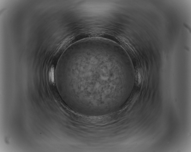 X0000092050046200709121221