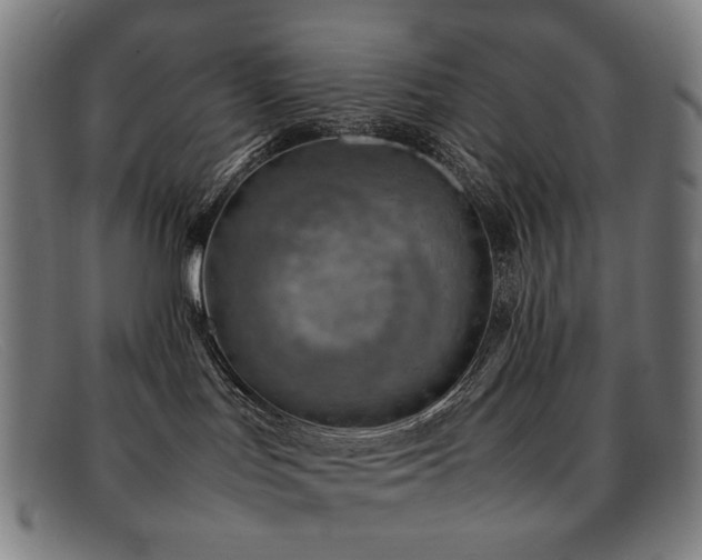 X0000092050047200709121221