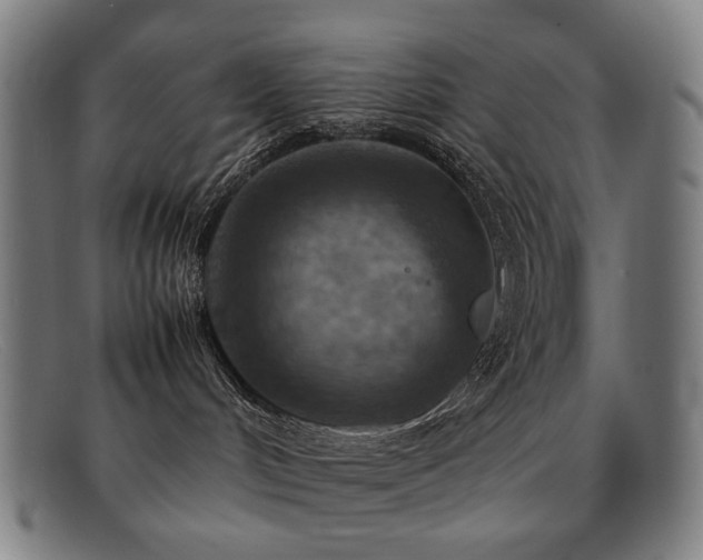 X0000092050048200709121221