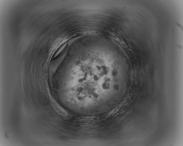 X0000092050049200709121220