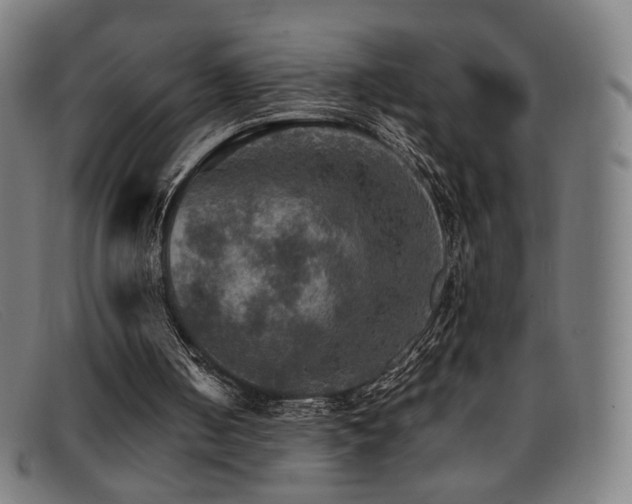 X0000092050050200709121220