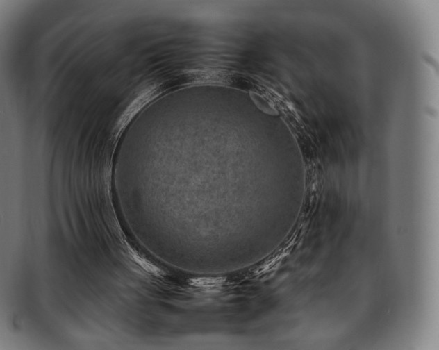 X0000092050051200709121220