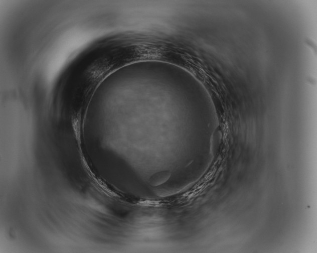 X0000092050052200709121220