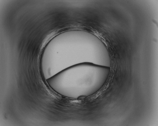 X0000092050053200709121220