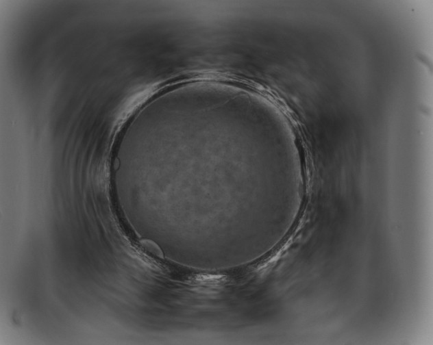 X0000092050055200709121220