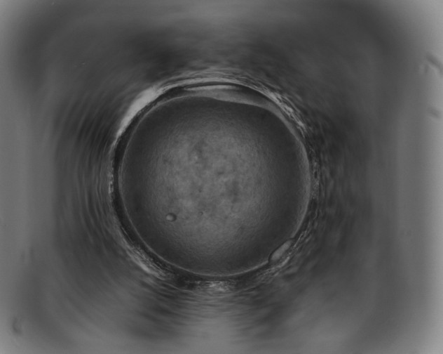 X0000092050056200709121220