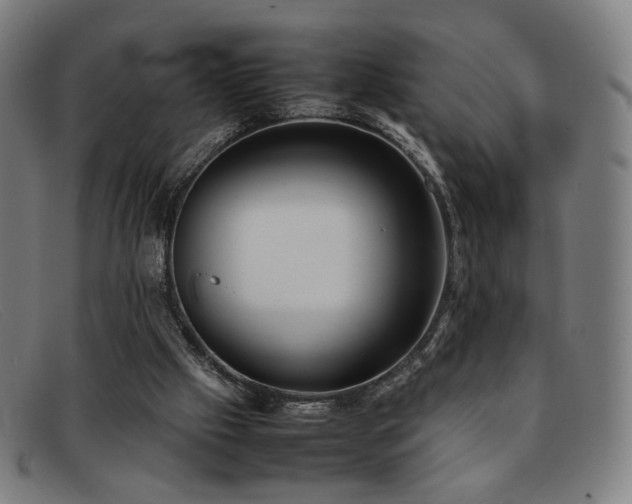 X0000092050057200709121220