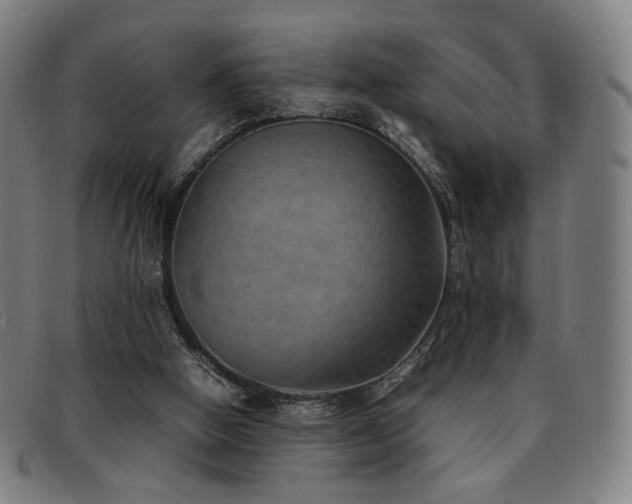 X0000092050058200709121220