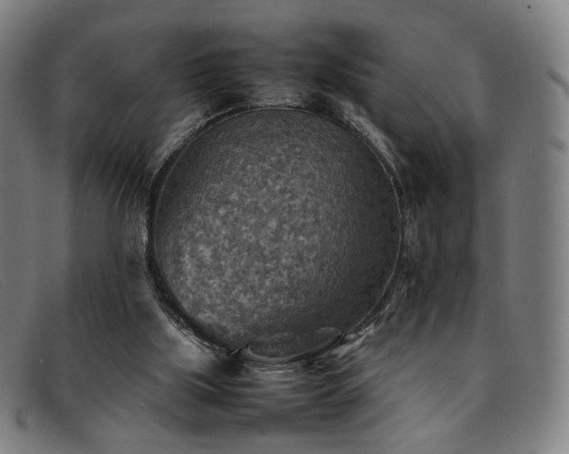 X0000092050059200709121220