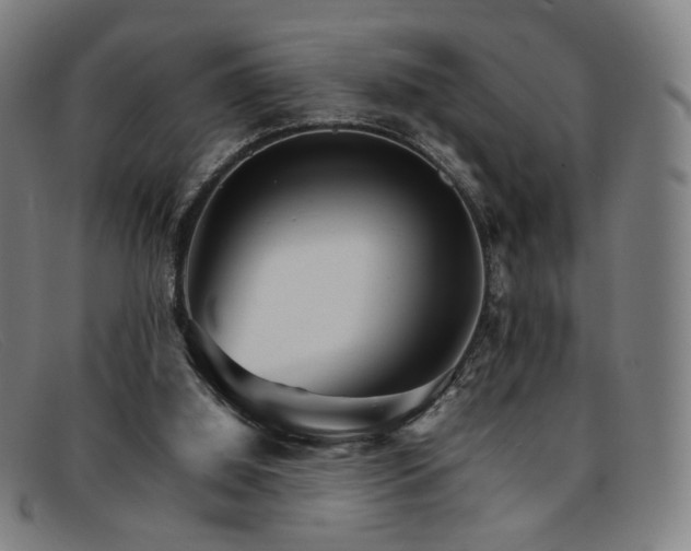 X0000092050060200709121220