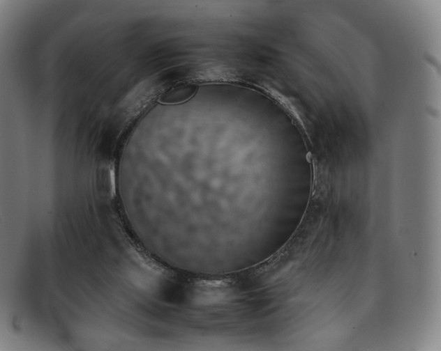 X0000092050061200709121220