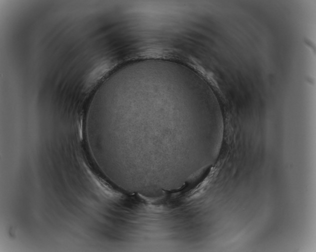 X0000092050062200709121220