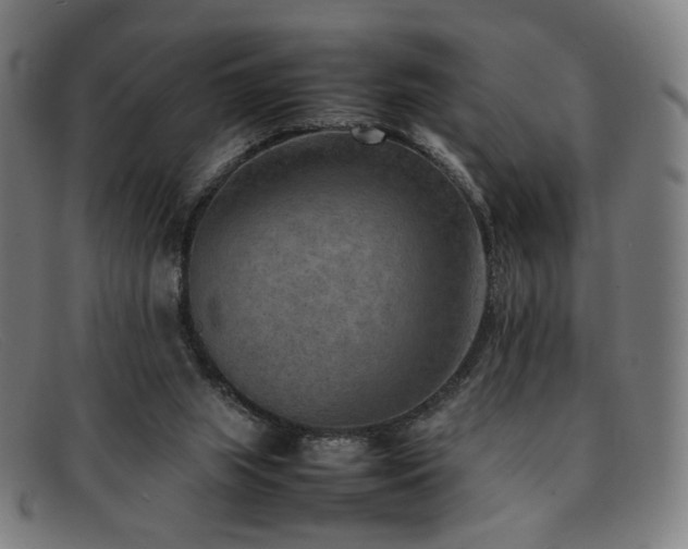 X0000092050063200709121220