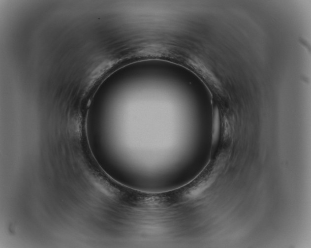 X0000092050064200709121220