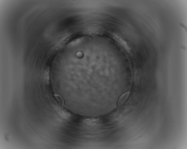 X0000092050065200709121220