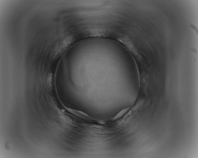 X0000092050066200709121220