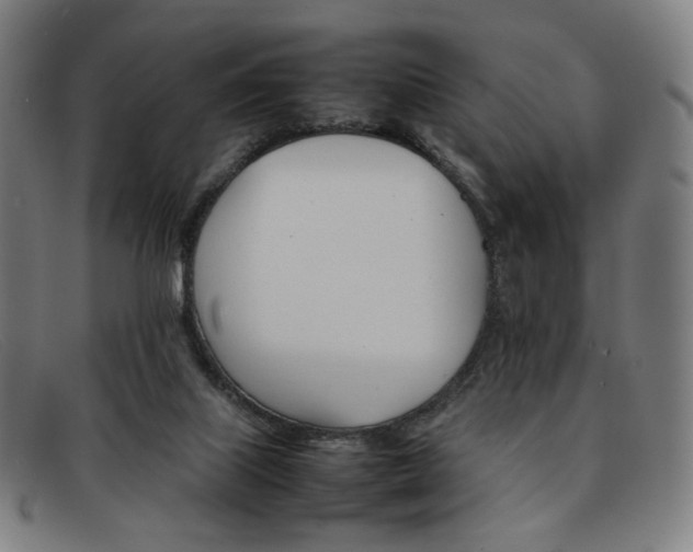 X0000092050067200709121220