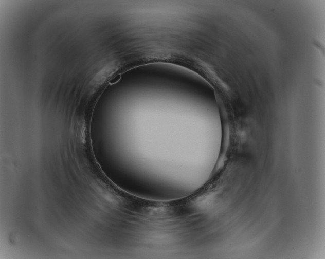 X0000092050068200709121220