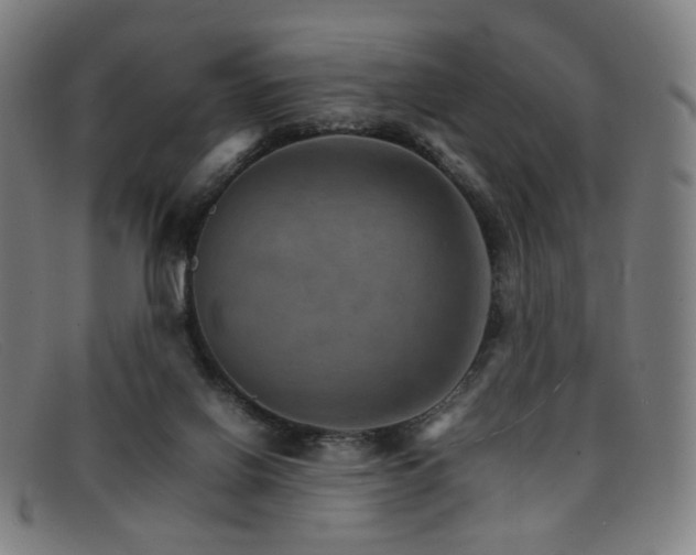 X0000092050070200709121220