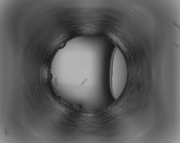 X0000092050071200709121220