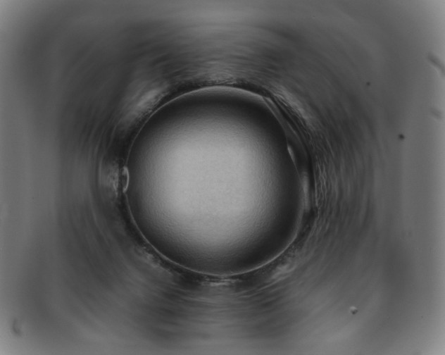 X0000092050072200709121220