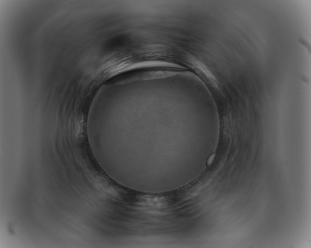 X0000092050073200709121220