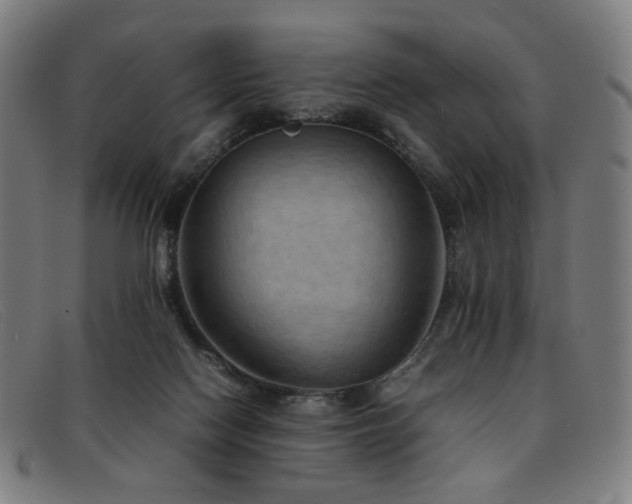 X0000092050074200709121220