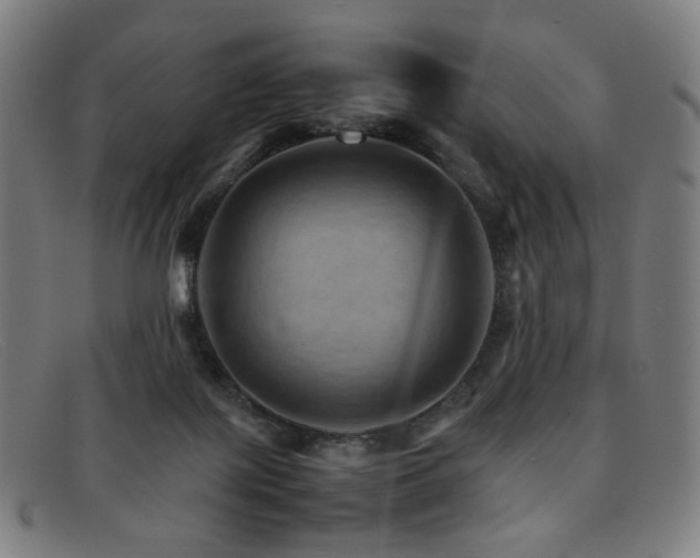 X0000092050075200709121220