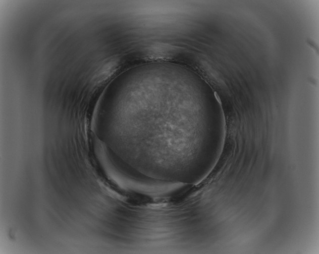 X0000092050076200709121220