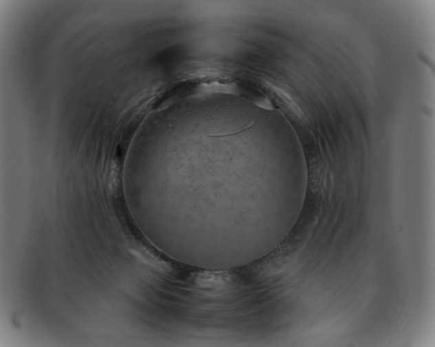 X0000092050077200709121220