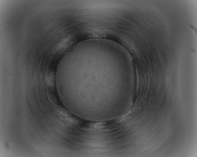 X0000092050078200709121220