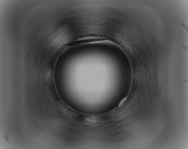 X0000092050079200709121220