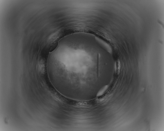 X0000092050080200709121220