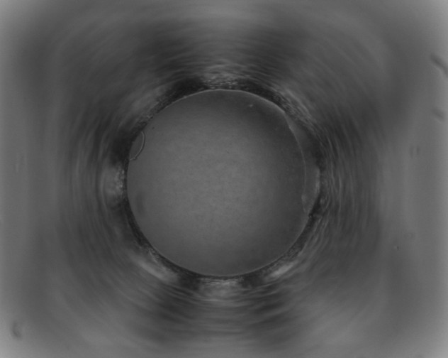 X0000092050081200709121220